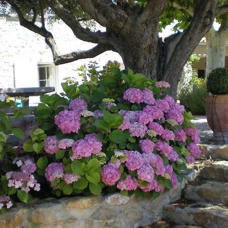 Bed and Breakfast Bastide de Fontvieille à Saint-Cyr-sur-Mer Extérieur photo