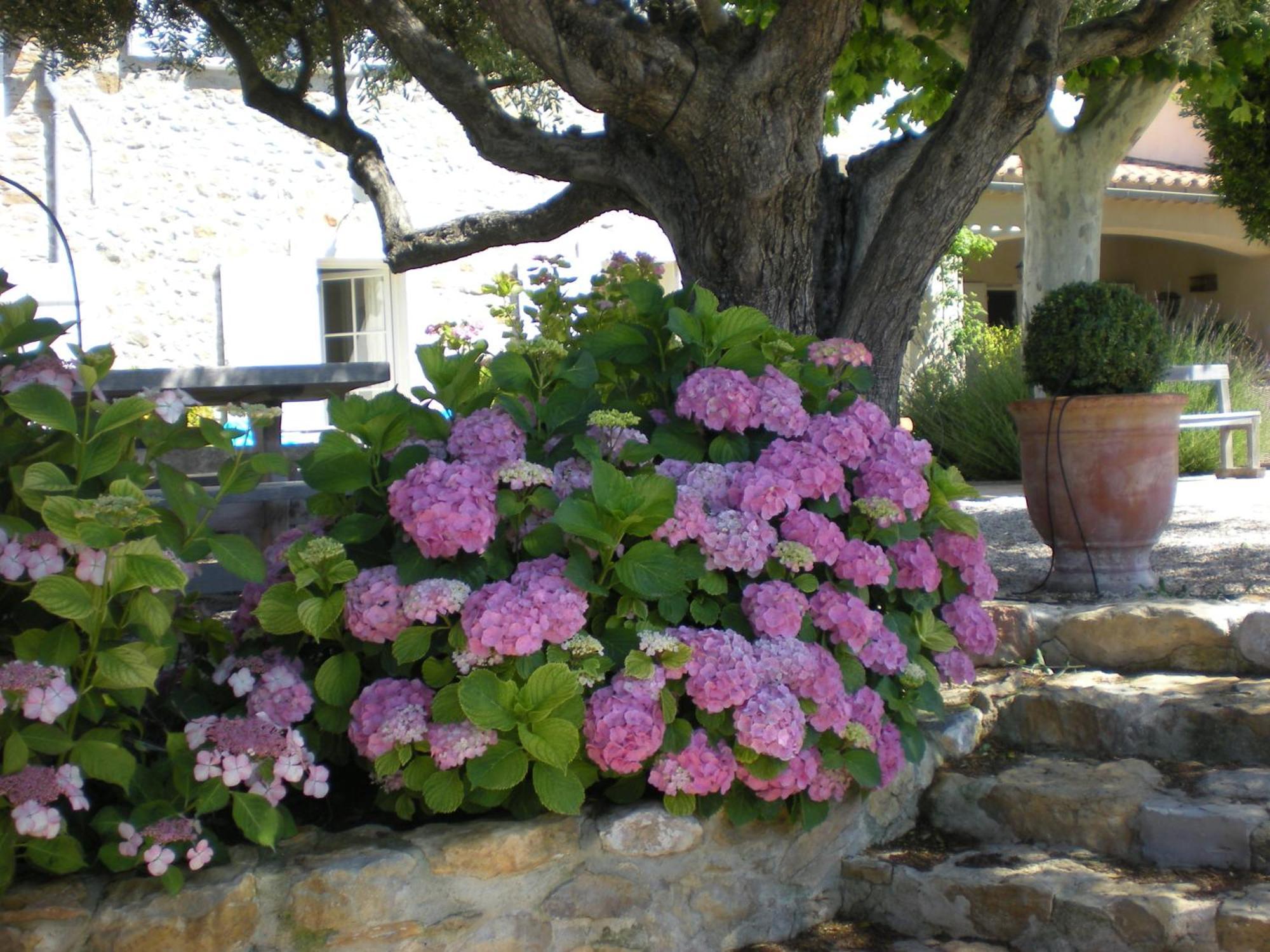 Bed and Breakfast Bastide de Fontvieille à Saint-Cyr-sur-Mer Extérieur photo