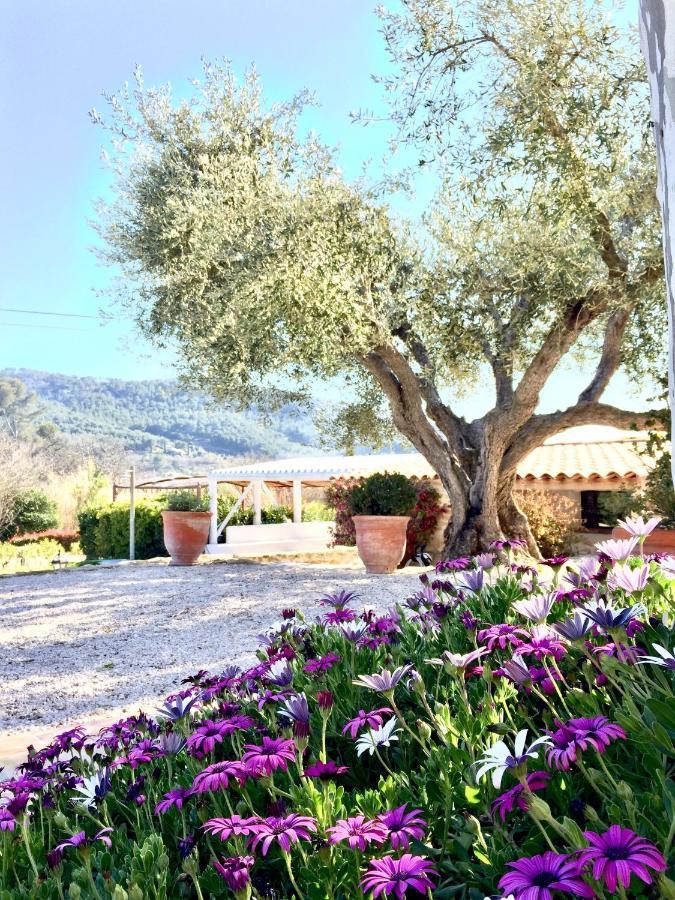 Bed and Breakfast Bastide de Fontvieille à Saint-Cyr-sur-Mer Extérieur photo